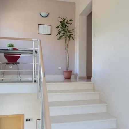 Barbaric * زاووستروج